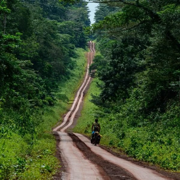 A sense of Cameroon