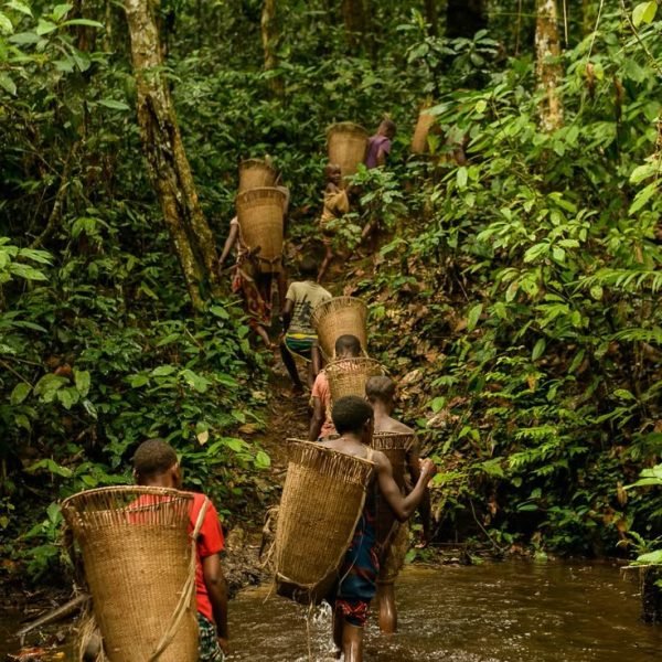 A sense of Central African Republic