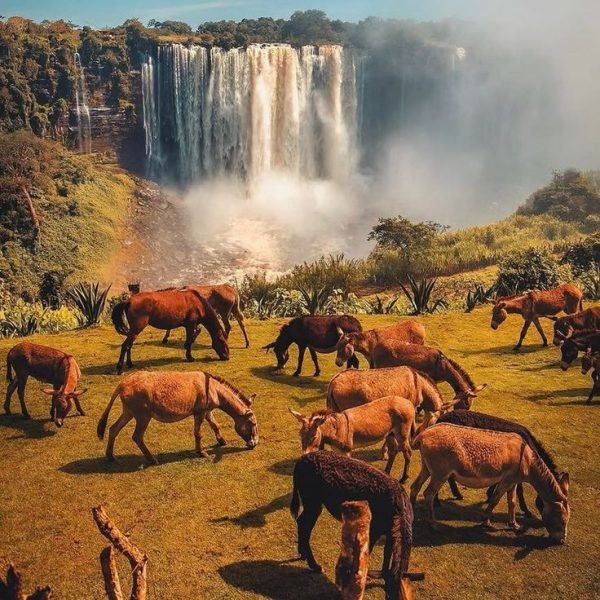 Angola