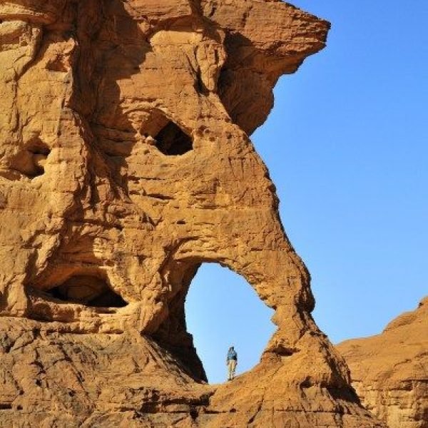 Arch Hunting in Chad _ NABS Blog