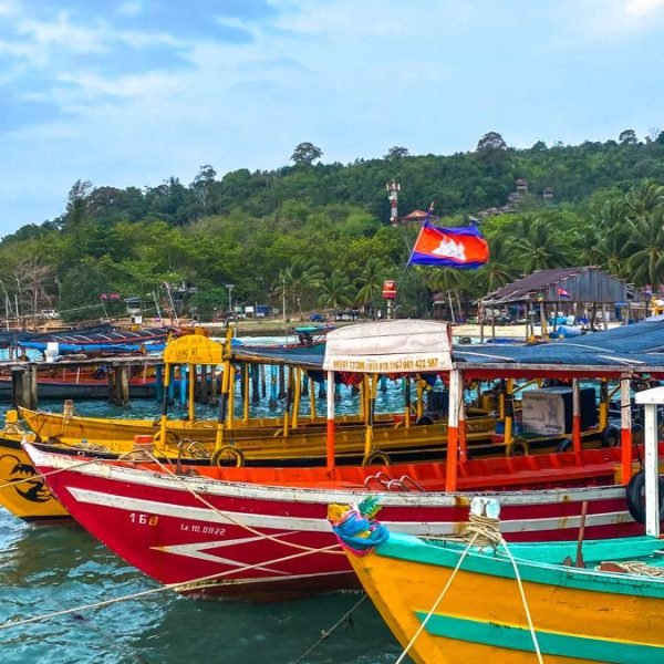 Boats in the docks
