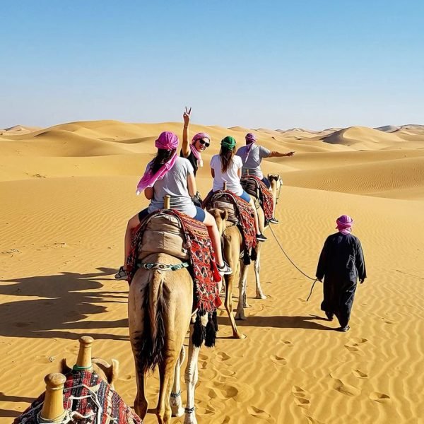 Camel ride in the desert of Egypt