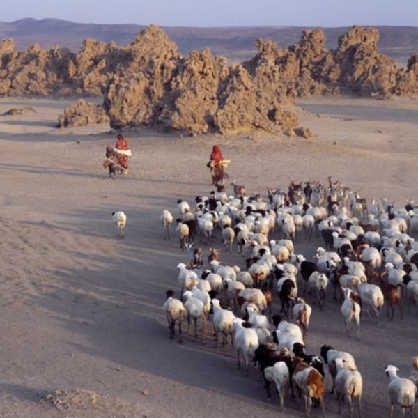 Djibouti 🇩🇯
