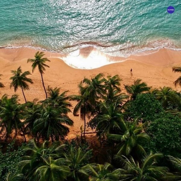 Hidden Gems_ Gabon _ tourhub