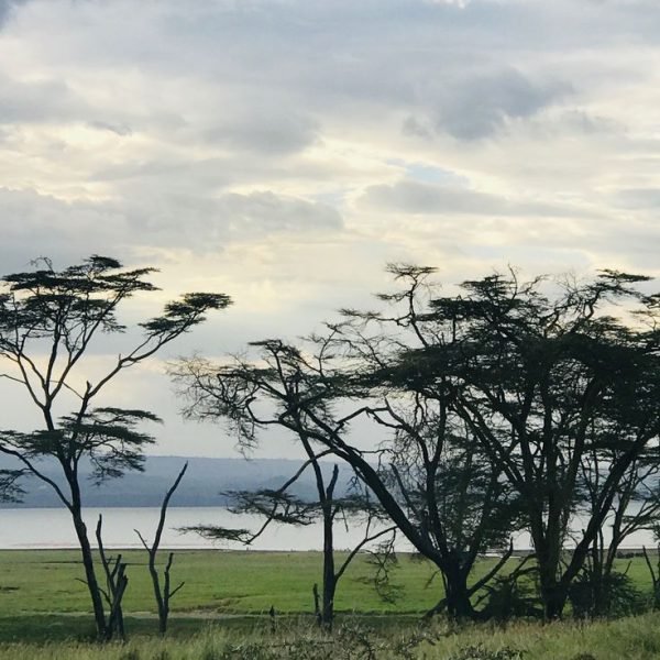 Lake Nakuru Kenya_ Tercer dia_