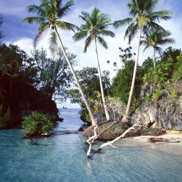 Palau Island (Surivvor Island) (1)