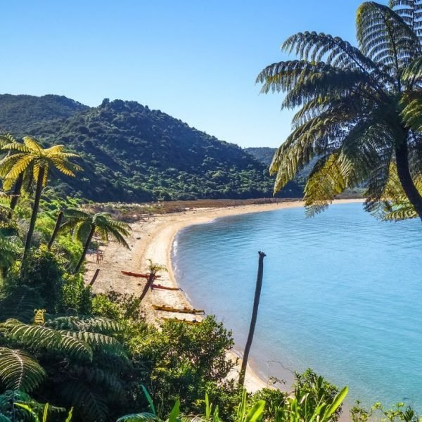 Planning a trip to New Zealand_ I’ve put together…