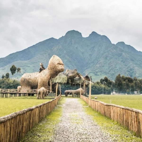 Rwanda itinerary Gorilla trekking Must Go Best…