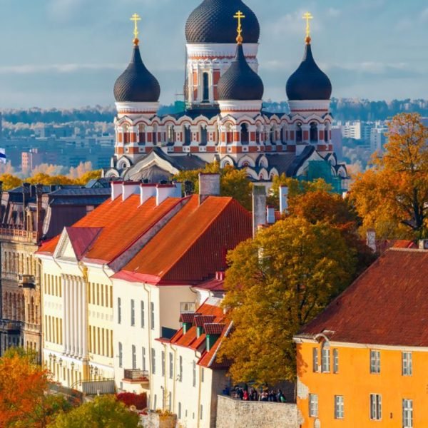 The 48 Best Things to Do in Tallinn, Estonia