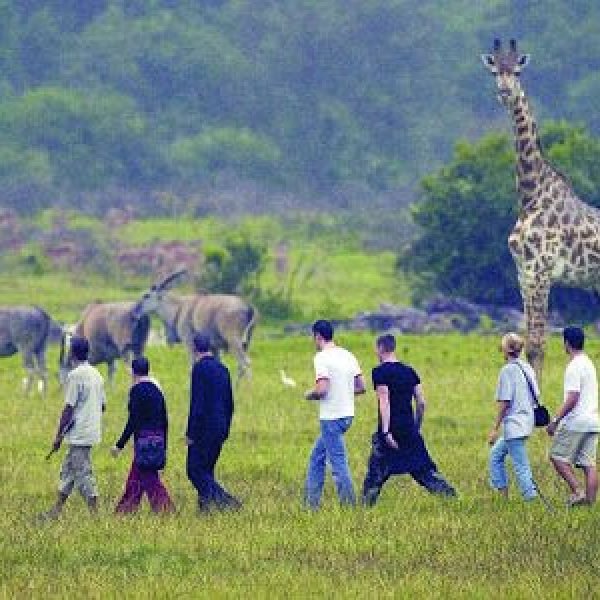 Tourist Attractions in Nigeria