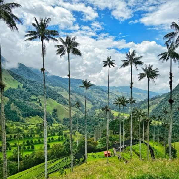 #colombia #valledelcocora