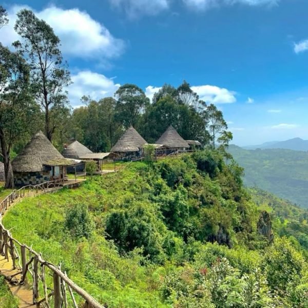 ethiopia ⋆ ࣪_ 🇪🇹📍