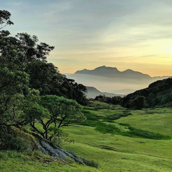 🇹🇱 Timor Leste [ Mount of Mundo Perdido]